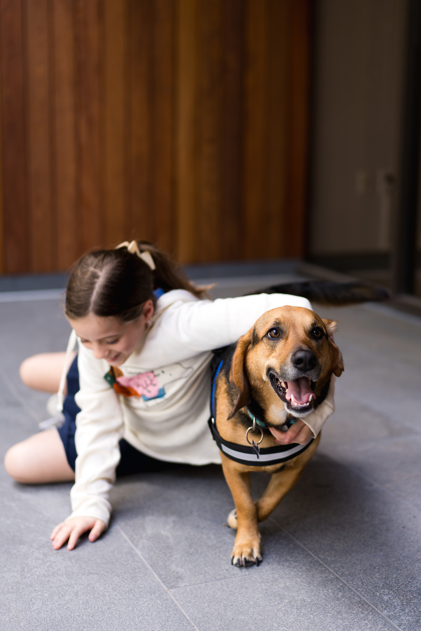 Theo the therapy dog greeting patients